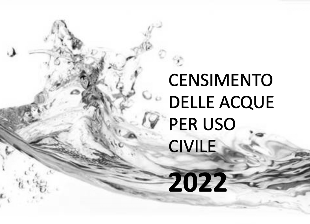 Rilevazione Censimento delle acque per uso civile - 2022